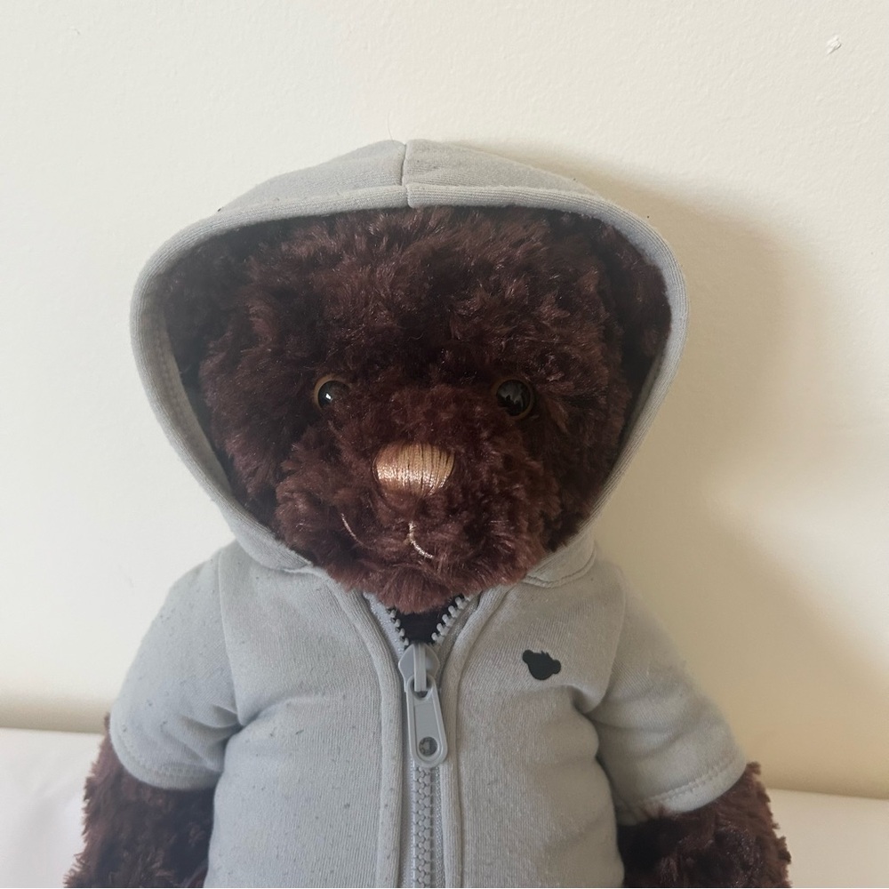 Build-A-Bear Brown Teddy in Gray Hoodie 16”